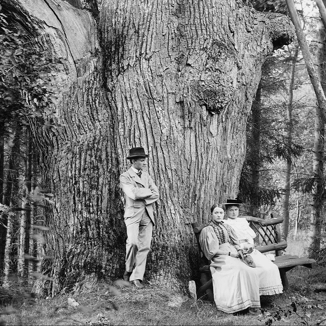 Fotoaufnahme im Forst Nieps von Albert Wande aus dem Jahr 1896.