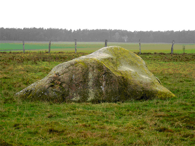Glocken – oder Küsterstein bei Hilmsen; dieser gewaltige Stein weist einige künstlich angefertigte Schälchen auf; Foto: L. Mittag