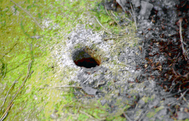 Stein mit Sprengloch bei Grävenitz (Kreis Stendal); in solche Löcher wurde Pulver geschüttet um die Steine zu sprengen. Warum die Sprengungen manchmal nicht zu Ende geführt wurden ist nicht bekannt. Foto: L. Mittag